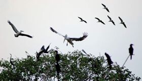 Begin your visa-prepared day with Vietnam’s tranquil ambiance